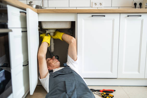 Best Affordable Plumbing Services  in Lake Los Angeles, CA