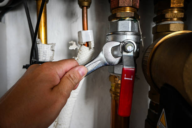 Best Shower Repair Services  in Lake Los Angeles, CA